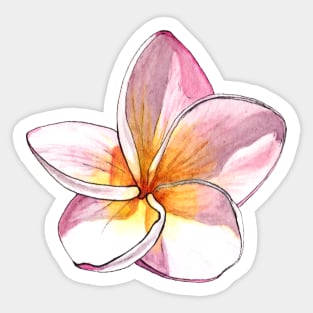 Plumeria Frangipani Sticker